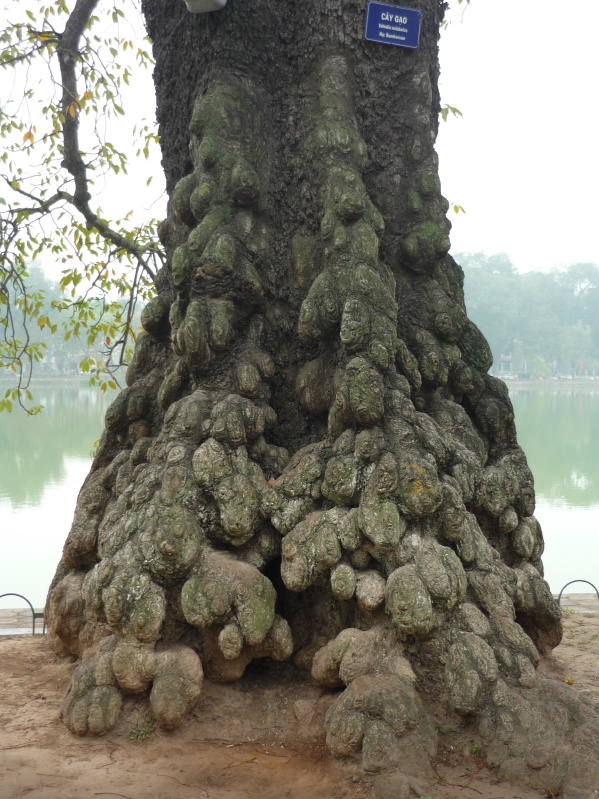 Hanoi